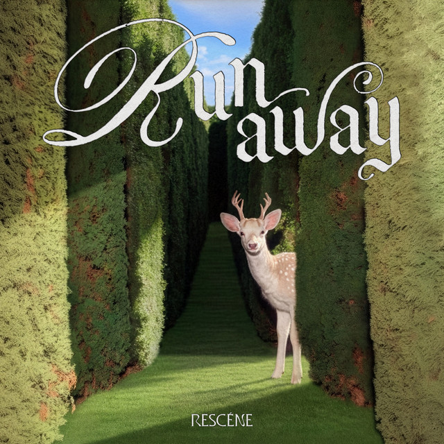 Image Cover